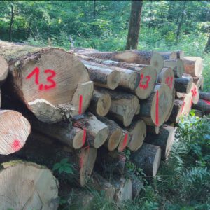 Esche 7,45 Fm